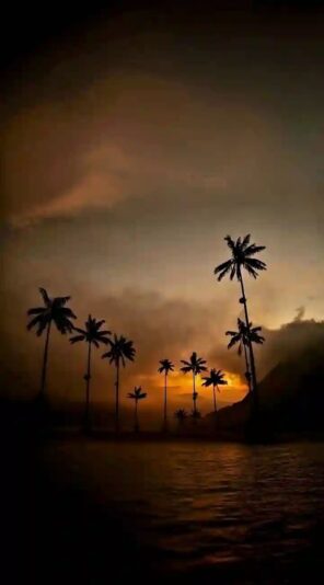 inbound7879493209674561764