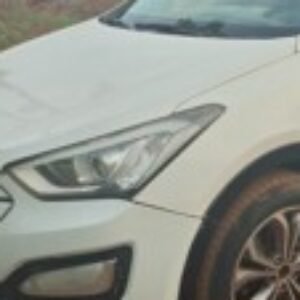 Profile photo of Chinweike Igwe