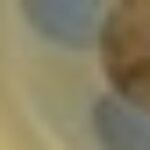 Profile photo of Akintokun Charles Adewale